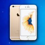 Iphone 6 Plus Reparatur